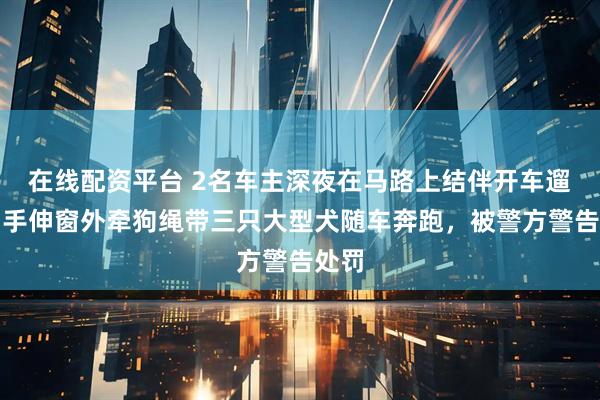 在线配资平台 2名车主深夜在马路上结伴开车遛狗，手伸窗外牵狗绳带三只大型犬随车奔跑，被警方警告处罚